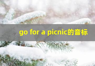 go for a picnic的音标